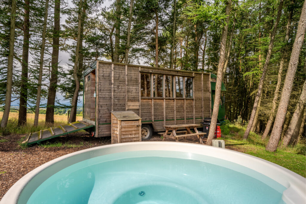 Lorry Lodge Juniper