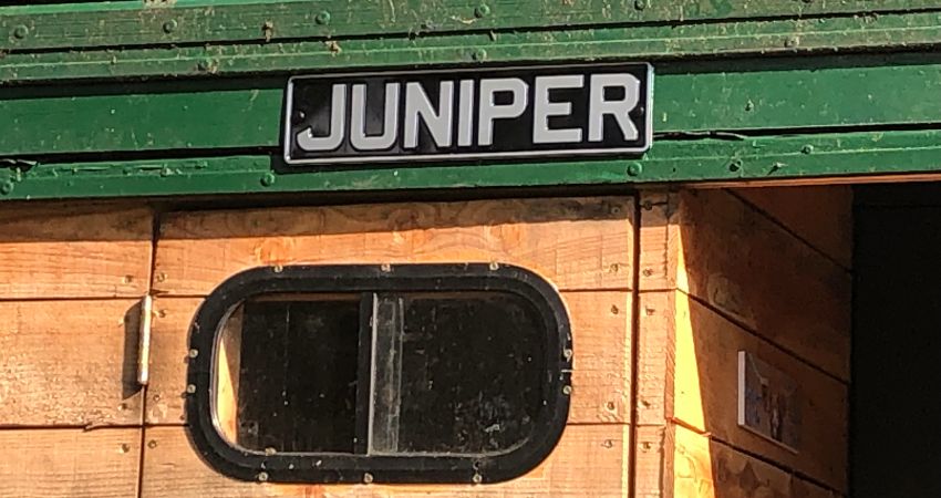 Lorry Lodge Juniper